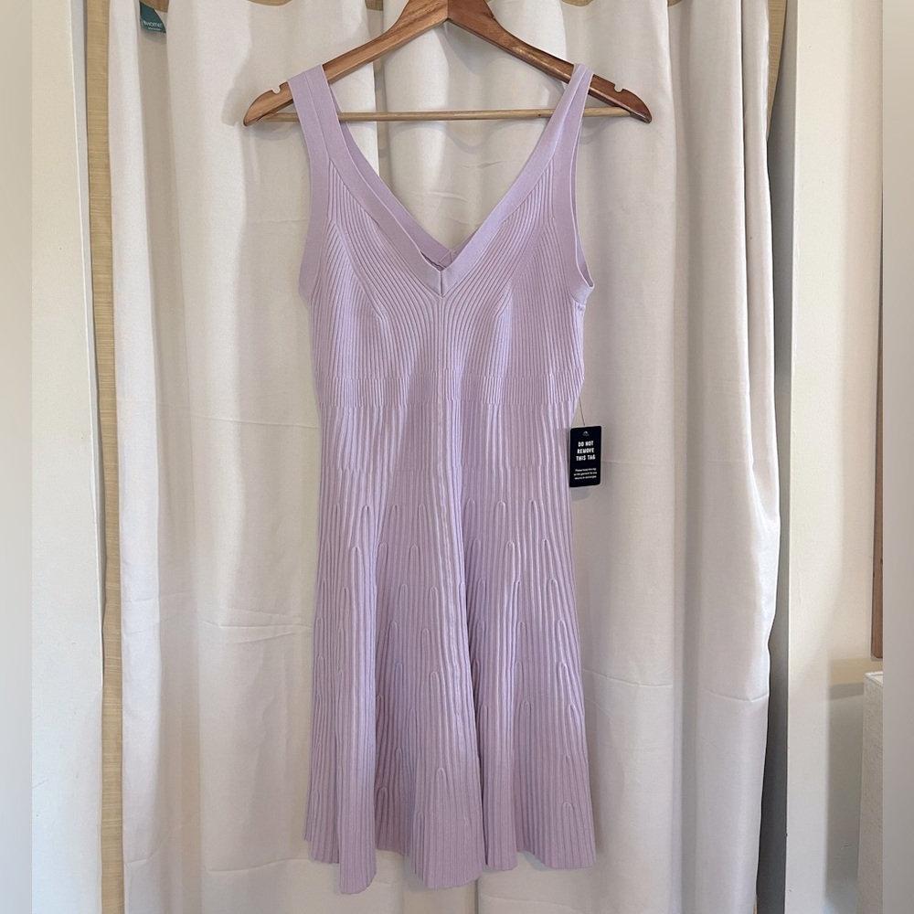 NWT Express Lavender V-Neck Mini Dress | L